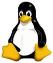 Linux services